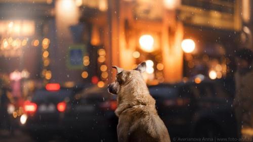 В эти дни каждому хочется поверить в чудо. 01