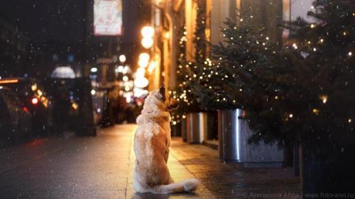 В эти дни каждому хочется поверить в чудо. 04