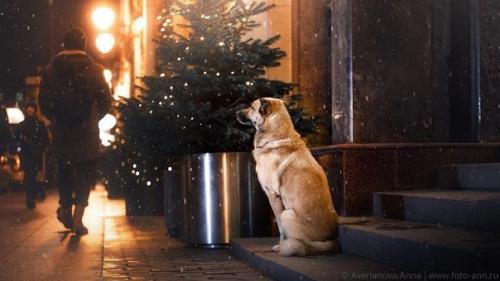 Праздник не в радость когда ты одинок. 06