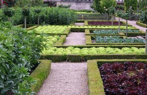 Интересные варианты грядок. 01