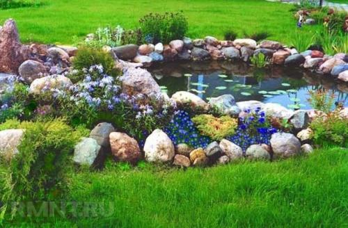 Искусственный водоем на дачном участке. 04 Искусственный водоем на дачном участке. 04