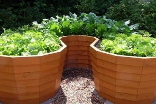 Интересные варианты грядок. 06