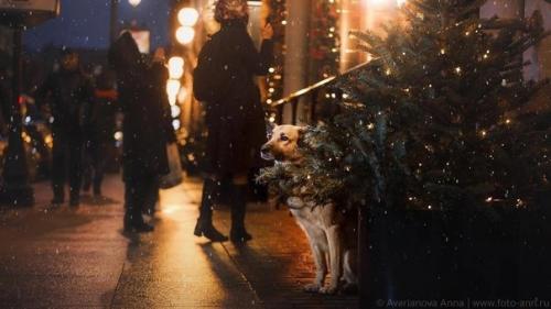 Праздник не в радость когда ты одинок. 02