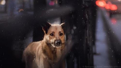 Праздник не в радость когда ты одинок. 05