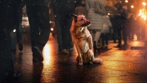 Праздник не в радость когда ты одинок. 03