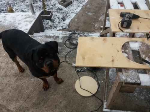 Пока мы строим дачный дом, решил своему псу смастерить миску с обогревом, чтобы кушал теплую еду и был полон сил для охраны участка. 05