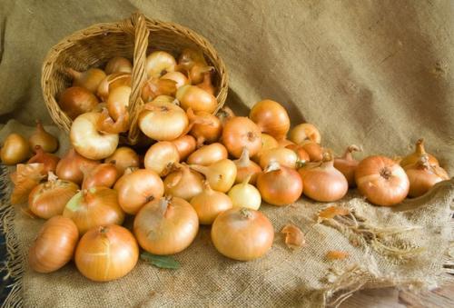 Лук - от многих недуг! 01