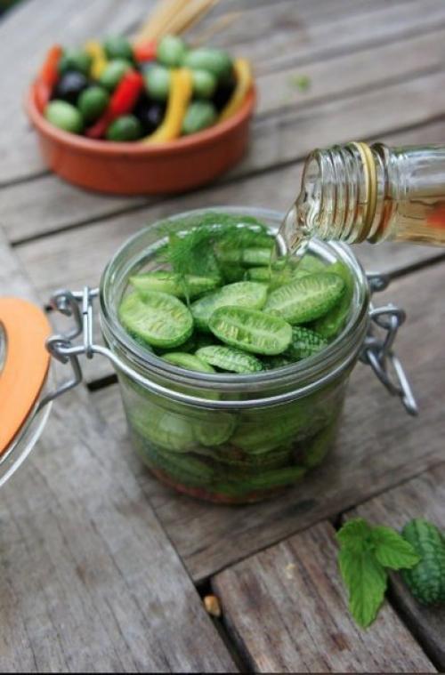 Не знаете что посадить? 03