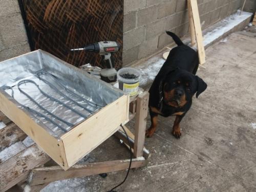 Пока мы строим дачный дом, решил своему псу смастерить миску с обогревом, чтобы кушал теплую еду и был полон сил для охраны участка. 02