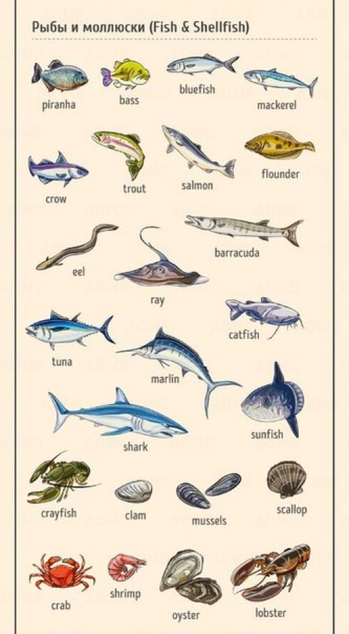 Английский - это просто. 08