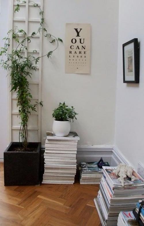 9 домашних растений вместо освежителей воздуха и Саше. 06 9 домашних растений вместо освежителей воздуха и Саше. 06