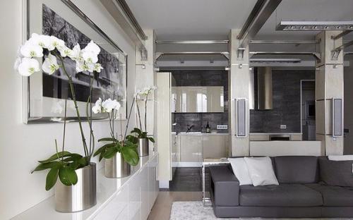 9 домашних растений вместо освежителей воздуха и Саше. 01 9 домашних растений вместо освежителей воздуха и Саше. 01