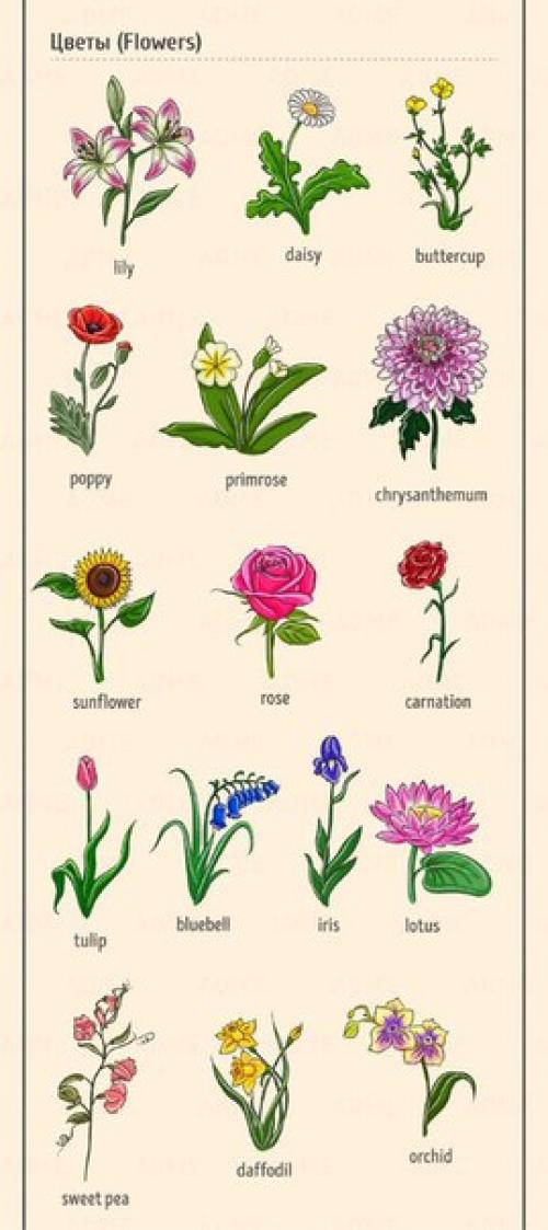 Английский - это просто. 09