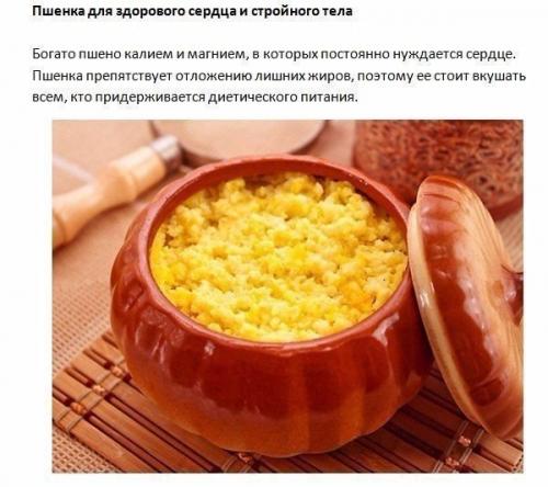 5 каш, за которые организм скажет вам спасибо! 02