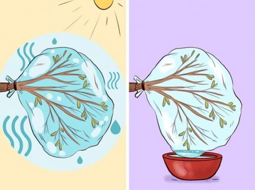 6 лайфхаков для выживания, которые не раз придут вам на помощь. 01 6 лайфхаков для выживания, которые не раз придут вам на помощь. 01