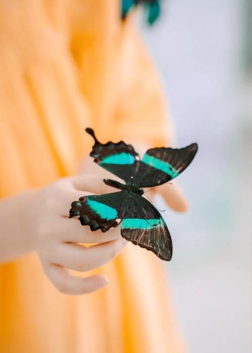 Весенняя серия с запахом мимозы. 08