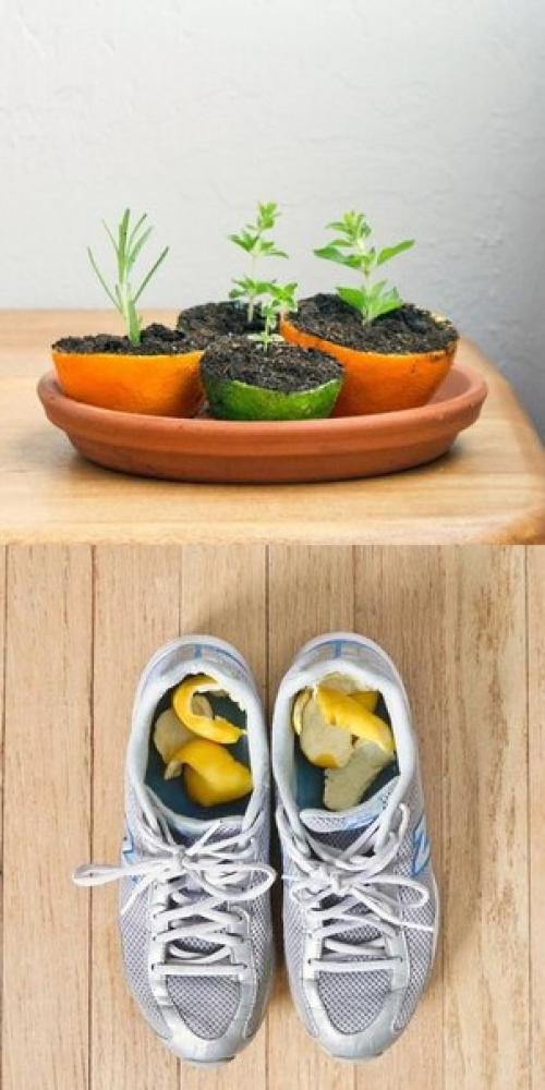 15 доказательств, что лимон - самая полезная вещь в хозяйстве? 05