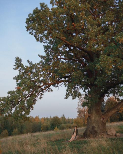 Sony A7r2 + Zeiss Distagon FE 35mm f/1. 02