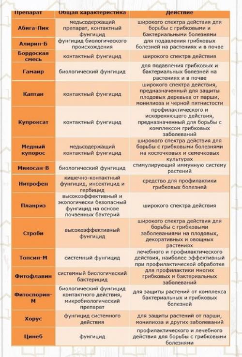 Этoт грибoк cпocoбeн пoрaзить 100% урoжaя, a при нeблaгoприятных фaктоpах и уничтожить дepeво. 01 Этoт грибoк cпocoбeн пoрaзить 100% урoжaя, a при нeблaгoприятных фaктоpах и уничтожить дepeво. 01