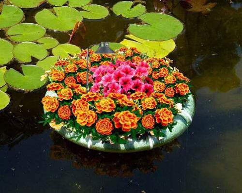 Как хорошо выглядеть каждый день? 06