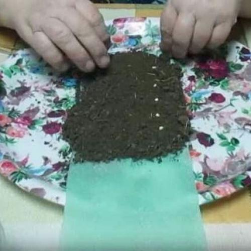 Посадка семян в УЛИТКУ с землёй. 02 Посадка семян в УЛИТКУ с землёй. 02