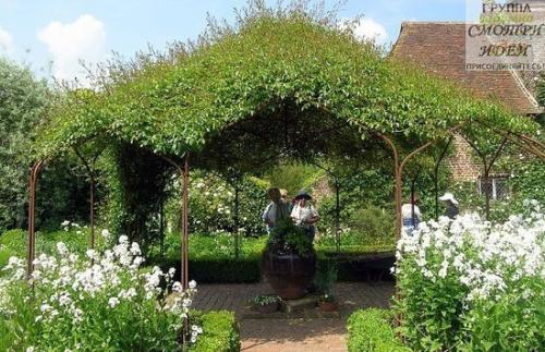 Идеи беседок для сада варианты вьющихся растений. 03 Идеи беседок для сада варианты вьющихся растений. 03