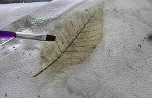 Скелетирование листьев. Понадобится: 04