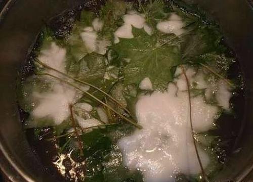 Скелетирование листьев. Понадобится: 02