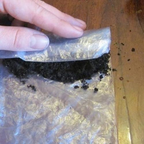 Посадка рассады в П/э пакеты. 03