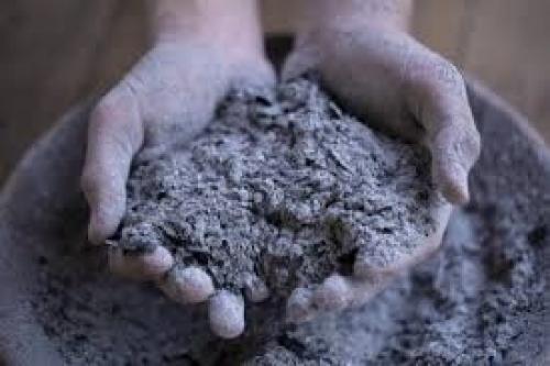 Зола для огурцов: когда и как подкармливать правильно? 02