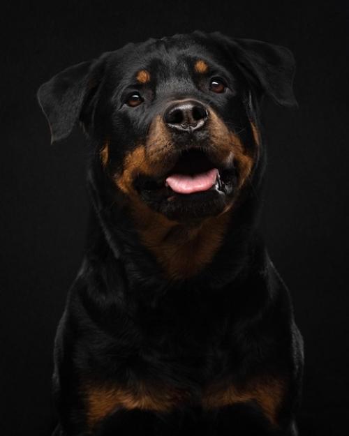 Хороший пример съемки черного на черном. 04