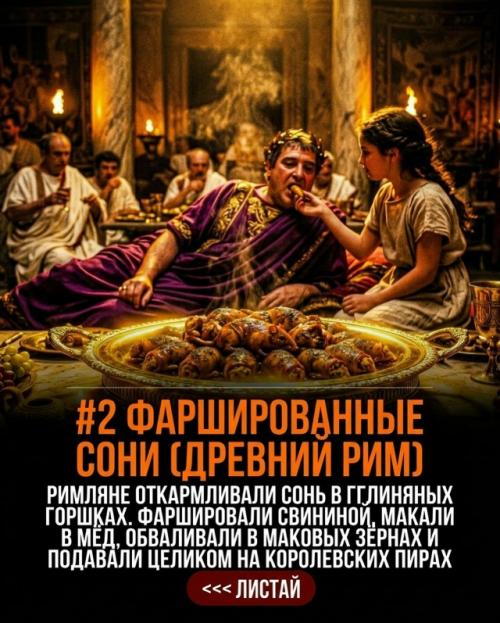 Роскошные пиры древних римских императоров часто шокировали своими безумными кулинарными шедеврами. 02
