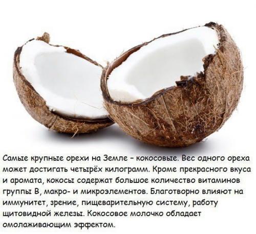 Я очень хочу поблагодарить запроделанную работу Юлию. 04