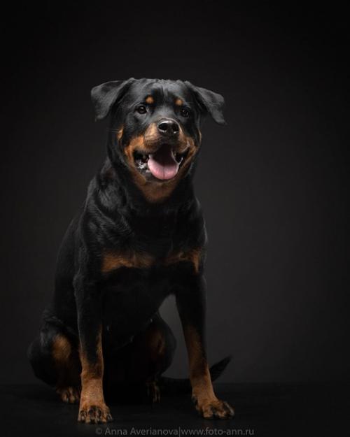 Хороший пример съемки черного на черном. 05