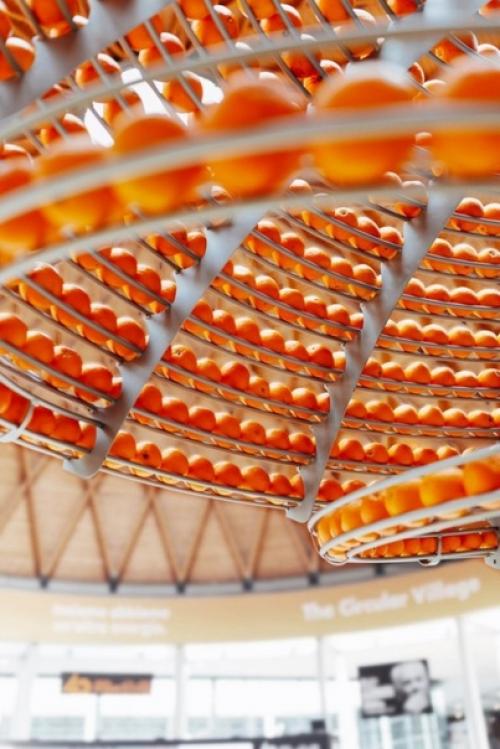 Машина отжимает сок, а апельсиновые корки перерабатывает в стаканчики. 04