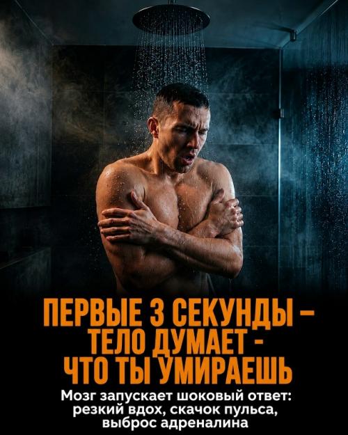 Холодный душ - это не просто способ проснуться быстро. 01