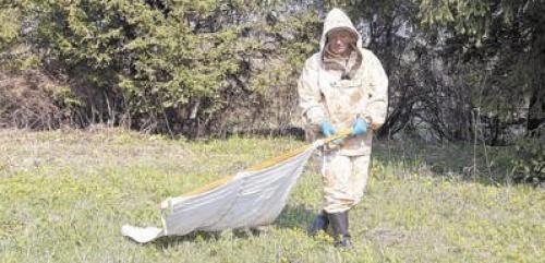 Мы очищаем участок от клещей: 7 полезных советов. 01