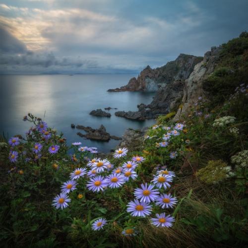 В приморье на побережье очень много цветов даже в конце сентября! 01