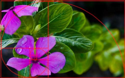 8 эффектов для каждого фотографа. 05 8 эффектов для каждого фотографа. 05
