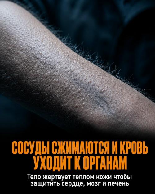 Холодный душ - это не просто способ проснуться быстро. 02