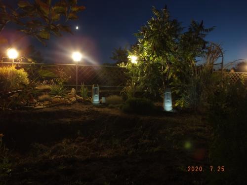 Всем добра!  Наконец, с появлением свободного времени, воплотил идею с садовыми фигурками возле планируемого водоема. 01