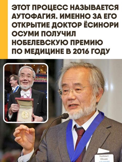 Йосинори осуми - японский биолог, лауреат нобелевской премии по физиологии или медицине 2016 года. 01