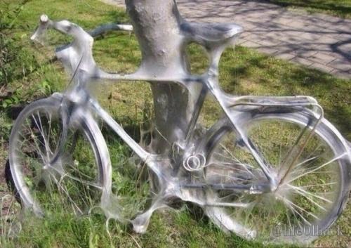 Сезон пaуков в Австрaлии. 02