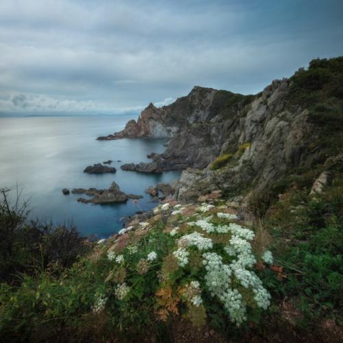 В приморье на побережье очень много цветов даже в конце сентября! 02