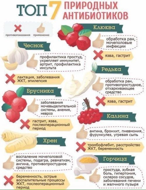 Полезные советы - сохраните себе. 01