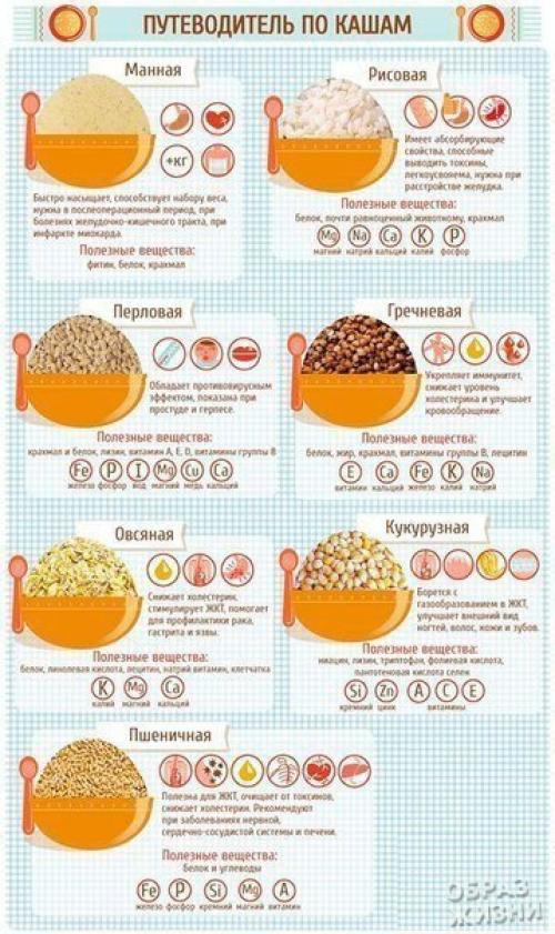 Инфографика по кашам. 02