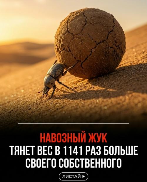 Природа каждый день показывает возможности, которые сложно представить. 02