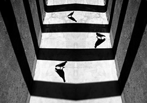 В мире призрачных теней и силуэтов. 02