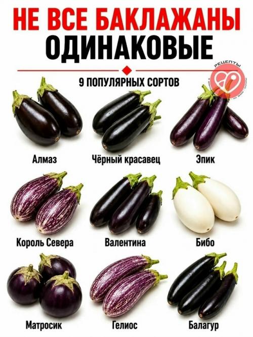 Даже привычные продукты могут заметно отличаться по плотности, сладости, сочности и текстуре. 07