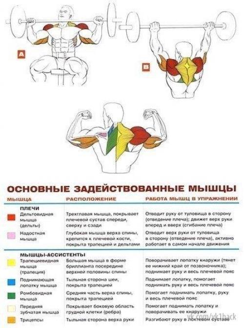 Стратегия развития больших плеч. 02 Стратегия развития больших плеч. 02